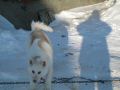 Billede200306 025.jpg